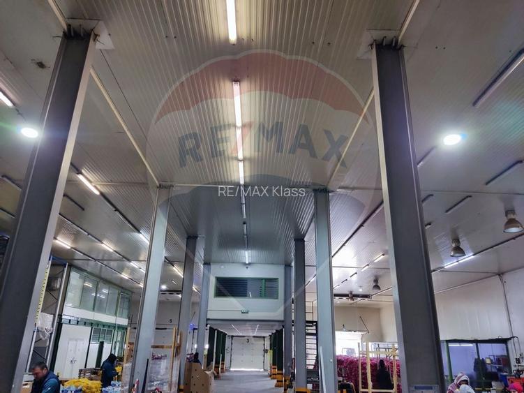 Depozit frigorific  hala ideal legume, fructe, flori - 15