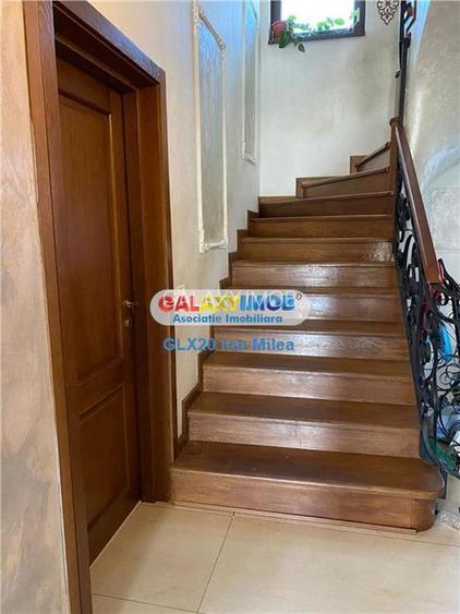 Vanzare vila D+p+1+M  Colentina Andronache - 10
