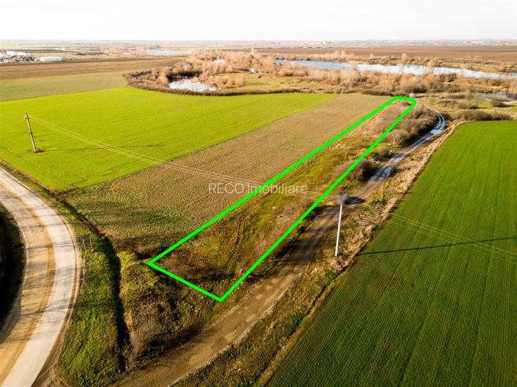 RECO Teren extravilan 2500mp in Palota - 5
