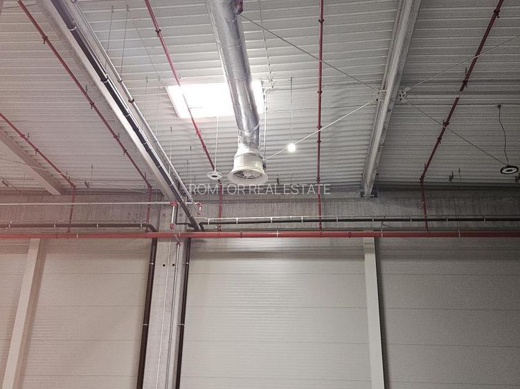 Drumul Intre Tarlale - A2- Palady depozit farma, produse alimentare, - 12