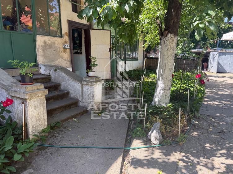Două case de vânzare în aceeași curte zona Maria - 3