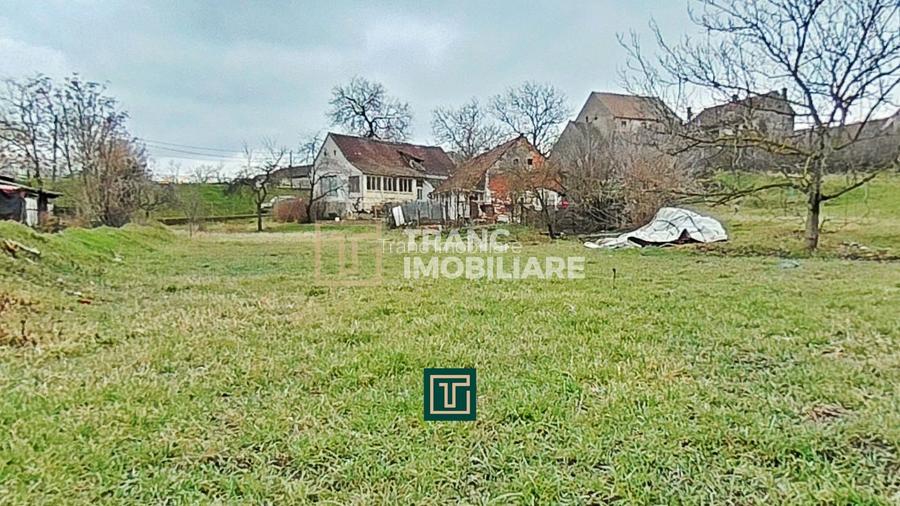 Casă de vânzare cu 4 camere în Zăbrani, teren 578 mp, front generos - 15