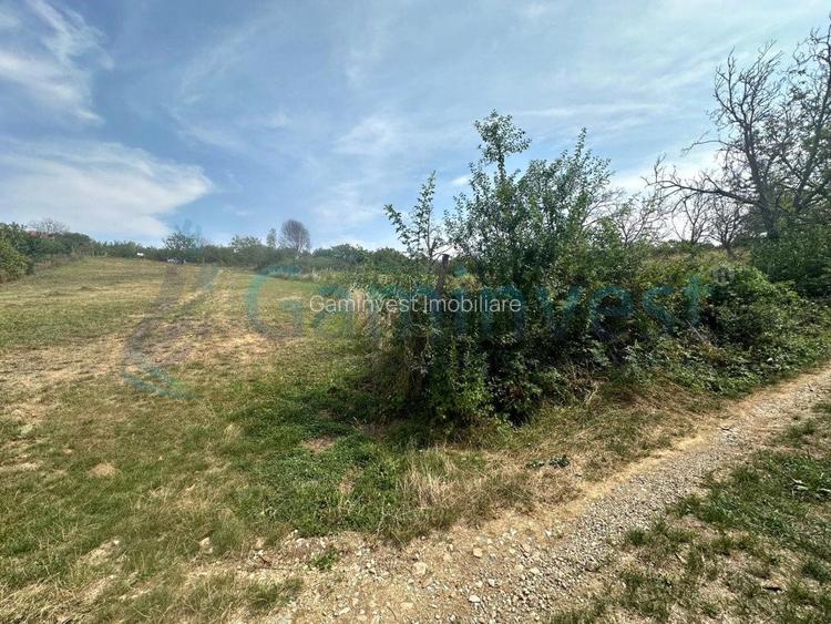 Teren intravilan de vanzare, la 1 min de str Gheorghe Doja, Saldabagiu de Munte - 4