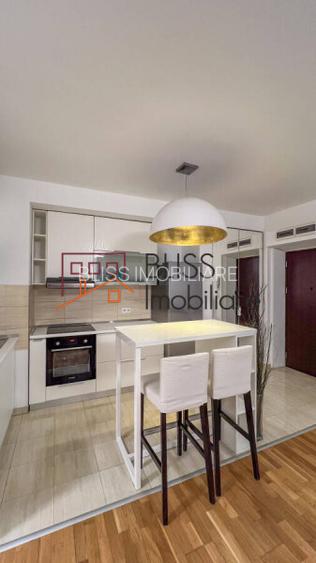 Apartament 2 camere în zona Iancu Nicolae Baneasa Zoo - 19