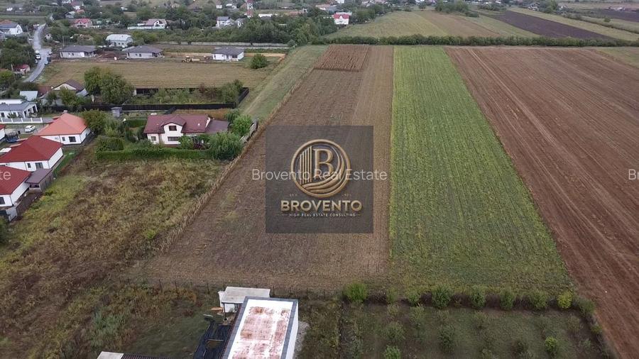 Teren Moara Vlasiei / Strada Cantonului - Padure - 4