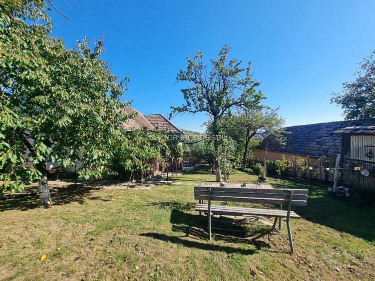 Casa 4 camere + teren 7500 mp - 3