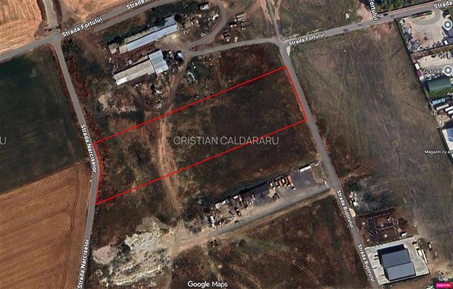 Vanzare teren Domnesti - Centura, ILFOV - 2