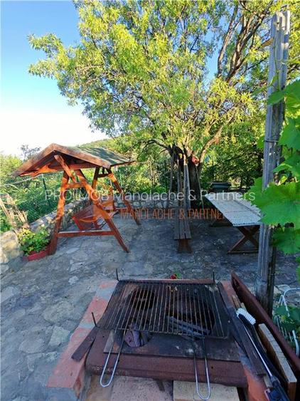 EXCLUSIVITATE! Casa+teren si cabana de lemn zona Naeni - 30