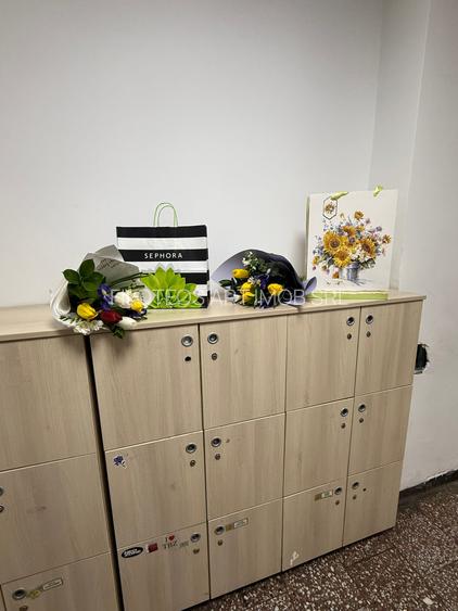 Vanzare Apartament 2 Camere Ultracentral Victoriei - 14