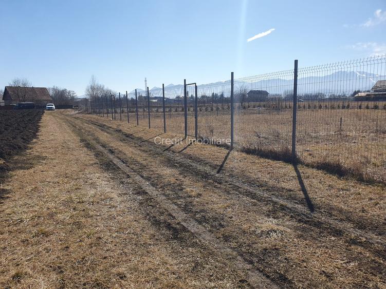 Terem de vanzare Supini - 4