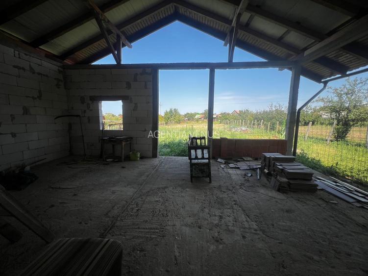 Casa in Ianculesti - 10