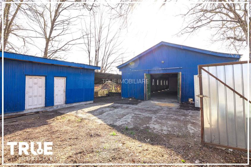 Hală de producție și depozitare - Voiniceni, Mureș - 6