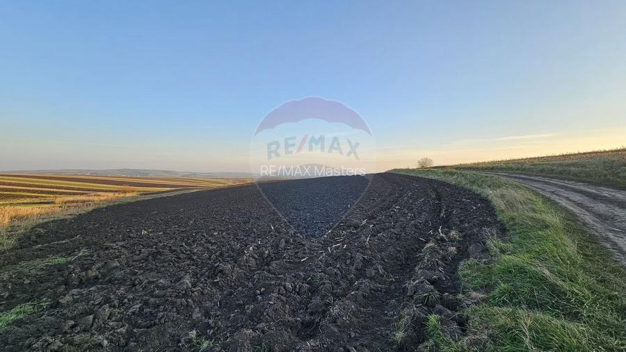 Teren extravilan 30077mp Stroiesti / Soseaua DN17, Suceava - 15