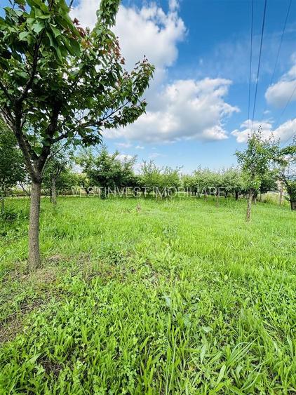 VILA CU 14 CAMERE SI 3405 MP TEREN IN SANMARTIN - 9