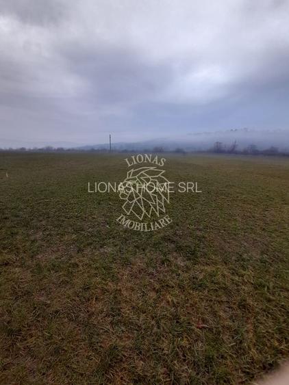 Teren 1698 mp-ideal investitie-Dumitrita, 15 km de Bistrita - 3