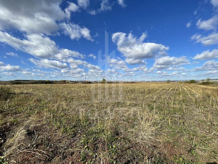 De vânzare teren intravilan – Cristian, Sibiu - 8