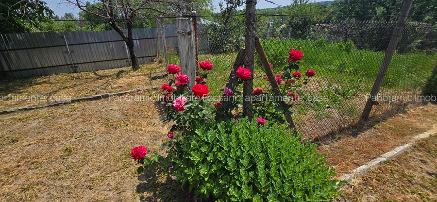 Casa boiereasca de vanzare Varsatura - 16