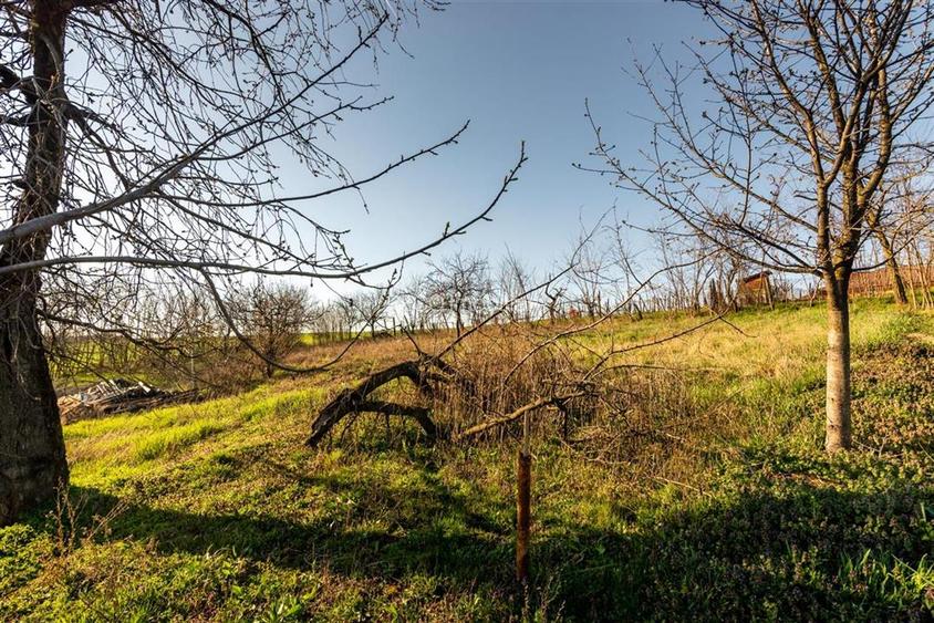 RECO. CASA LA ROSU , CETARIU - 16