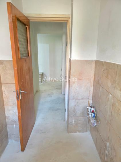 Lacul Tei  Teiul Doamnei  Colentina - 5