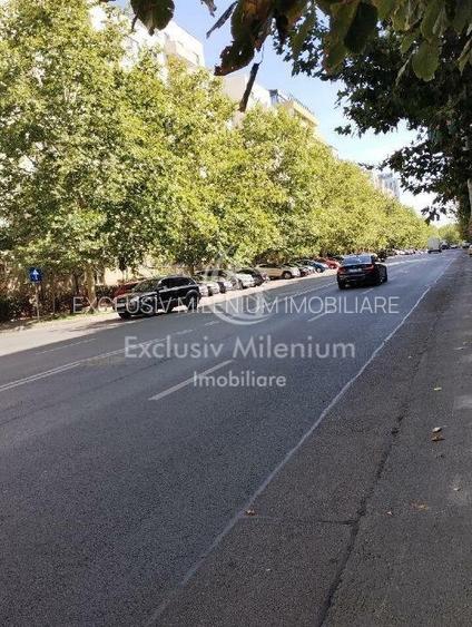 Parter Garsoniera Timpuri Noi - Mircea Voda Birouri sau Locuinta - 7