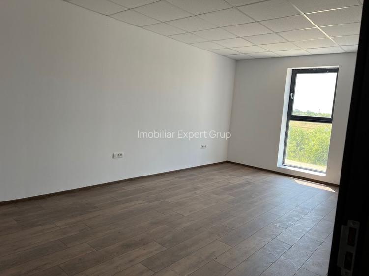 Spatiu depozitare si productie Soseaua de centrua Chitila - 18