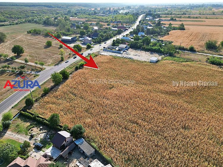 AZURA Imobiliare - Teren la DN7 langa Gaesti, Crangurile - Badulesti - 12