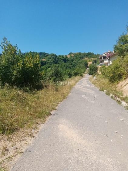 Exceptional! 779 mp teren pe Drumul de Poiana - Coltul Putinarilor - 10