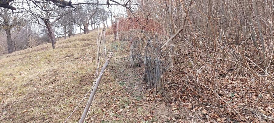 Teren de vânzare – Brașov, zona Dupa Iniste, 2710 mp - 10