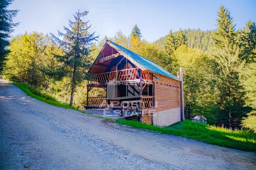 Pensiune, casa de vacanta, 6 camere, statiunea Rausor din Hunedoara - 27