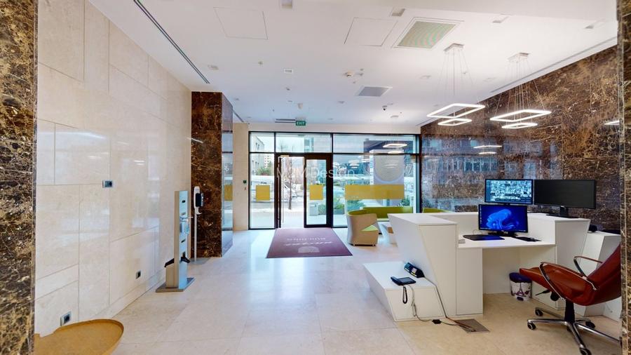 Birou, 492 mp în Palat - 5