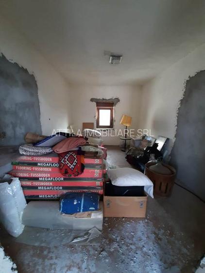 Sanmihaiu Roman 2 case vechi 110000 euro - 9