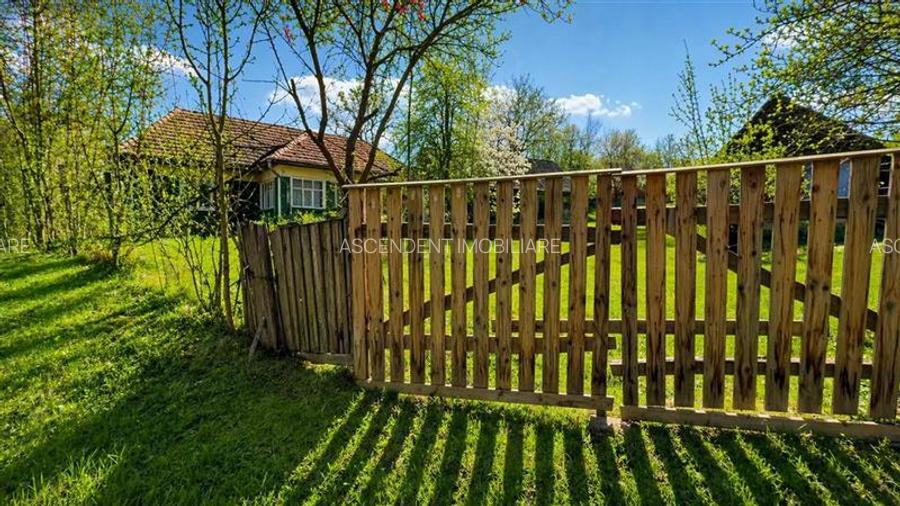 Domeniu de 3.400 mp cu traditionala casa, Suveica, Acatari Mures - 6