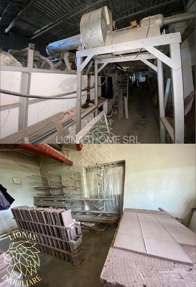 Business/Casa/Hala - 28 ari - Livezile- EXCLUSIVITATE - 5