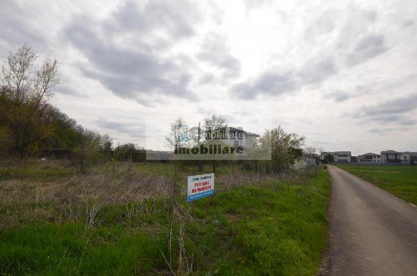 Snagov Crizantemelor Teren 3200mp, d 72ml, gaz, curent, asfalt, padure - 11