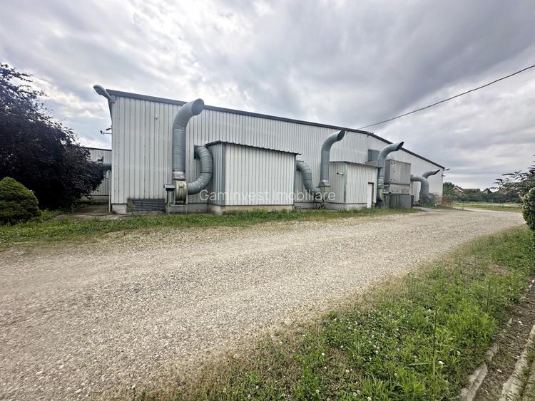 Hala de productie sau depozitare,de inchiriat,2 minute de Calea Borsului,Santion - 3