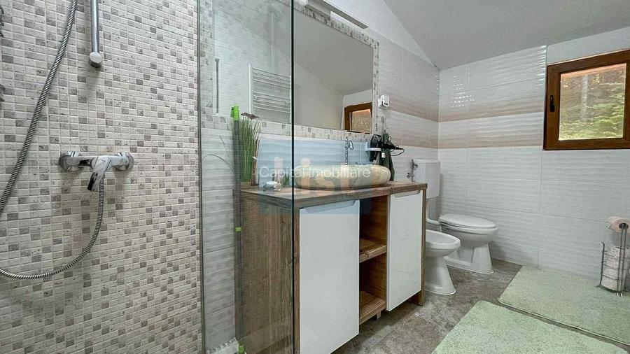 Casa de vacanta superba in Crivaia - 17