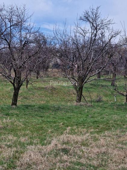 Teren de vanzare Breaza de Jos -DJ 710 - 5