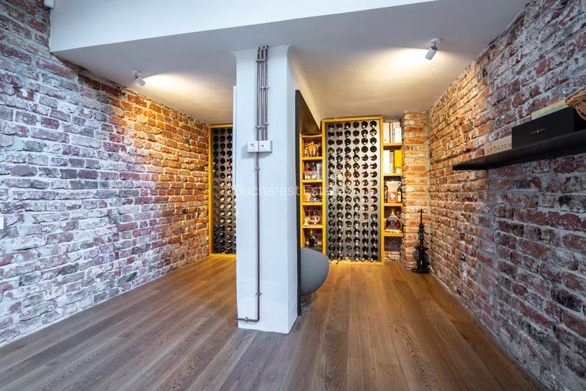 Historical villa Gradina Icoanei area - 18