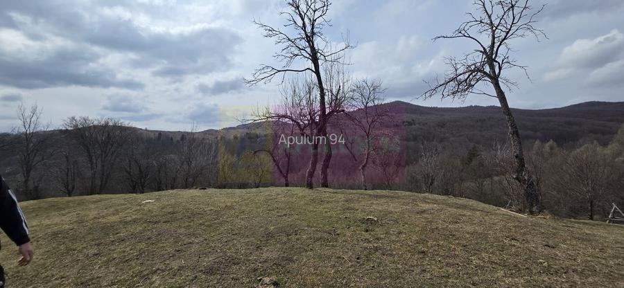 Teren intravilan 2200 mp de vanzare in Valea Doftanei - 4