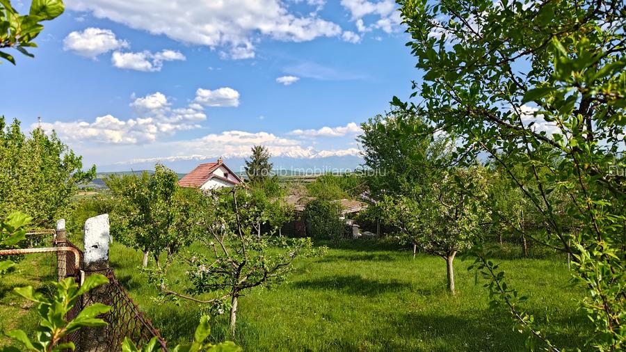Teren intravilan 1000 mp in Sibiu Daia Noua - 2