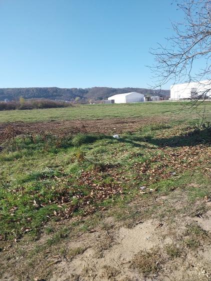 TEREN INTRAVILAN MARACINENI 12804 MP_PUZ