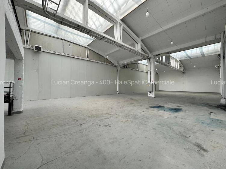 Hala/ showroom, 231mp, zona Carrefour Felicia, Kaufland - 10