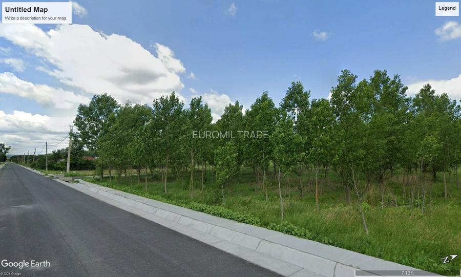 Vand parcele PADURE seculara stejar, N.Balcescu Valcea, la drum, conditii CABANA - 3