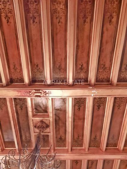 Vila Istorica - Birouri - Piata Romana - 14