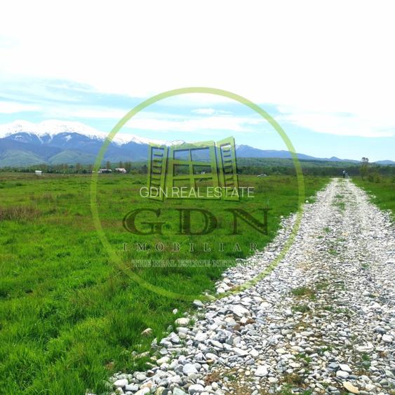 Terenuri extravilane  / 1000 mp, 2000 mp,  7.000 mp/  Valea Avrigului - 5