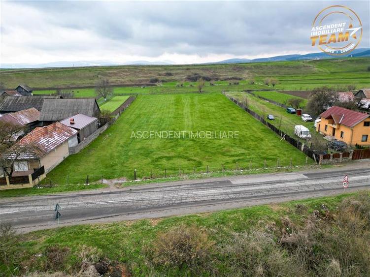 FILM!Potential rezidential/ investitional: 8.000 mp intravilan construibil, Sanz - 3