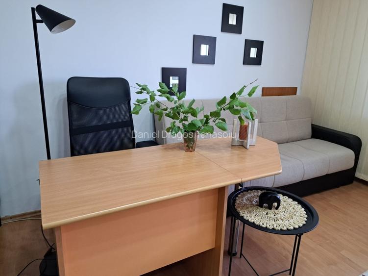 Proprietar închiriez garsonieră Zona 13 Septembrie - Sebastian - Novaci - 2
