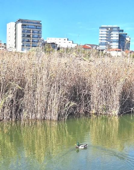 Comision 0% | Fără TVA  - Apartment 2 Camere Premium | Vedere Lac - Mare - 14