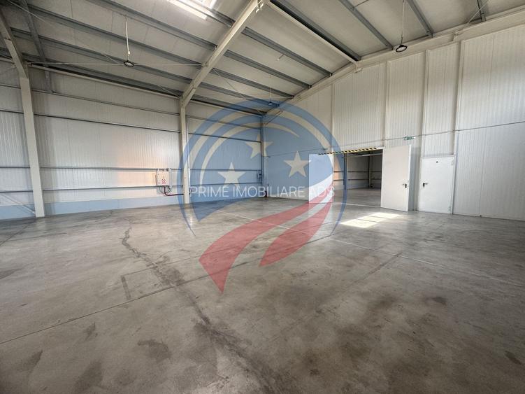 Hala in zona FORD 300-600 mp - 6