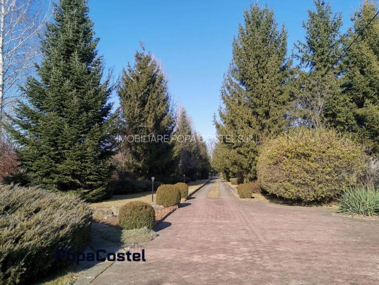 Breaza de Sus vila 487 mp utili S+P+1E+M cu teren 6258 mp - 13